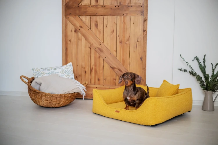 legowisko-premium-dla-psa-i-kota-ortopedyczne-belluno-mustard-3.jpg