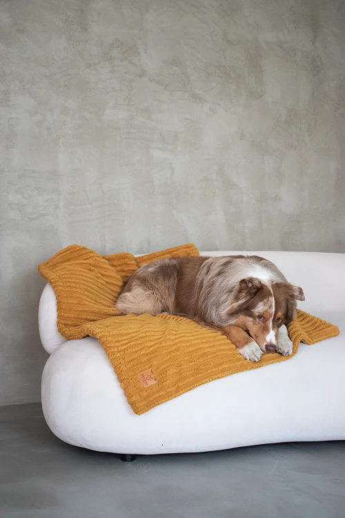 kocyk-premium-dla-psa-i-kota-palermo-mustard-3.jpg