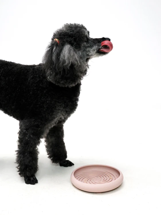 miska-calm-lick -dla-psa-i-kota-różowa-pink-spowalniająca-5.jpg