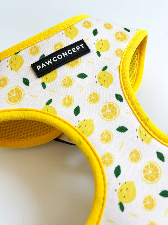 szelki-bezuciskowe-dla-psa-capri-lemon-3.jpg