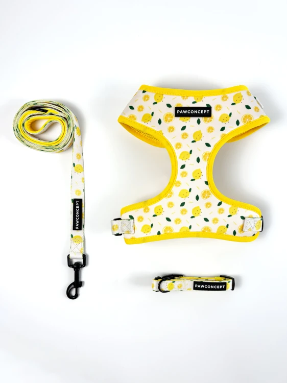 szelki-bezuciskowe-dla-psa-capri-lemon-4.jpg
