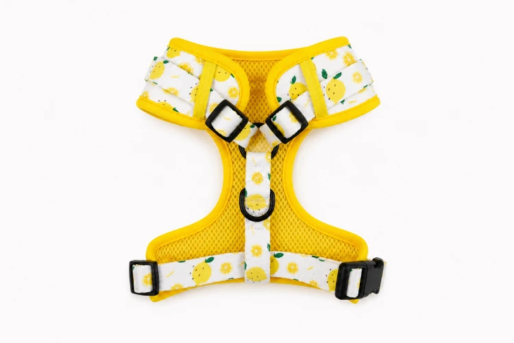 szelki-bezuciskowe-dla-psa-capri-lemon-2-1.png