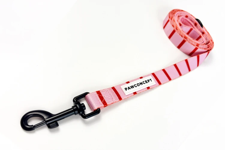 smycz-dla-psa-rose-paris-1a.jpg