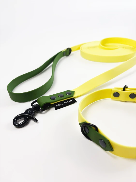 hexa-medium-dla-psa-yellow-green-żółta-zielona-2.jpg