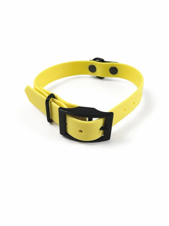 hexa-medium-obroza-dla-psa-yellow-green-żółta-zielona-2a.jpg