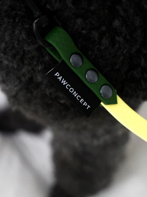 hexa-slim-dla-psa-yellow-green-żółta-zielona-6a.jpg