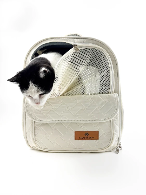 plecak-voyage-pawconcept-transporter-dla-psa-kota-4.jpg