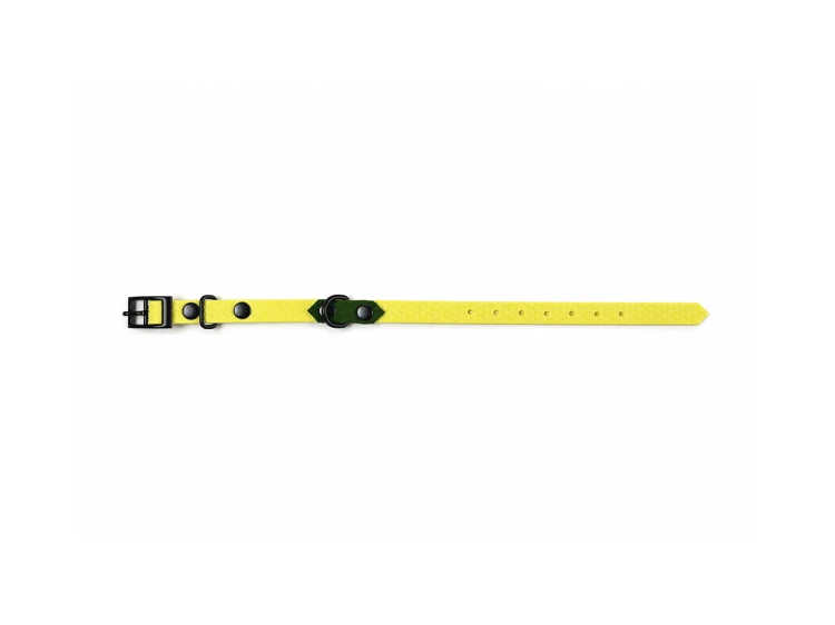 hexa-slim-obroza-dla-psa-yellow-green-żółta-zielona-1.png